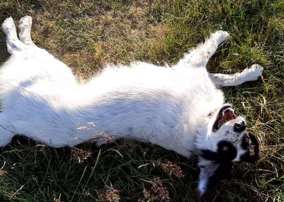 Handy-Foto Challange Nr. 10-Beitrag-Bild