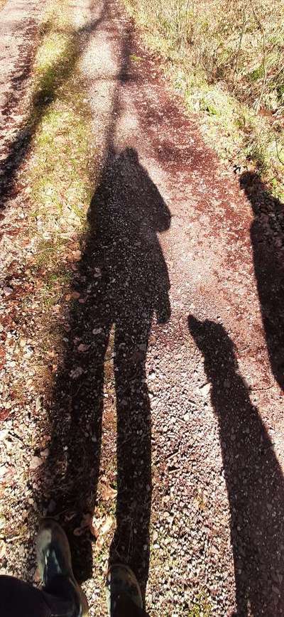 Dogorama Photo Challenge - Spieglein Spieglein . . .-Beitrag-Bild