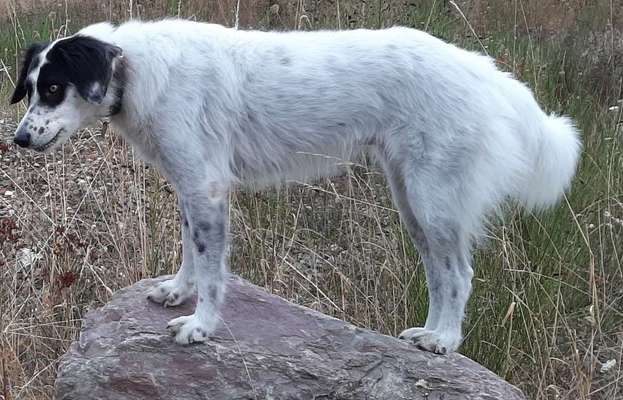 Sind das Liegeschwielen?-Beitrag-Bild