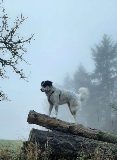 Euer schönster Moment des Jahres auf einem Bild!-Beitrag-Bild