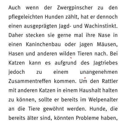 Wie reagiert euer Hund auf Hasen zu Hause?-Beitrag-Bild