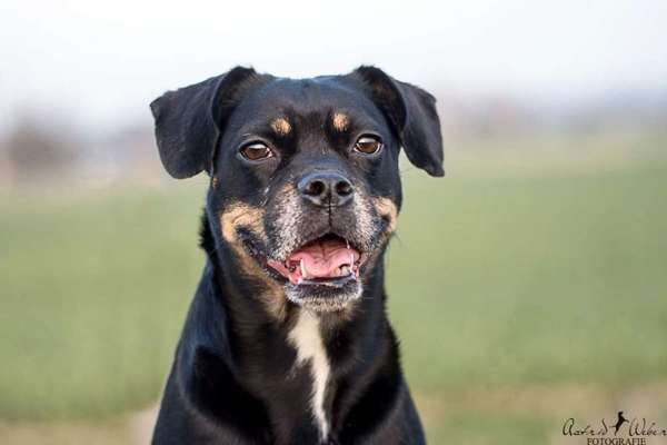 Fotochallange Nr. 57     PORTRÄT.   Beendet!!!!!!!!-Beitrag-Bild