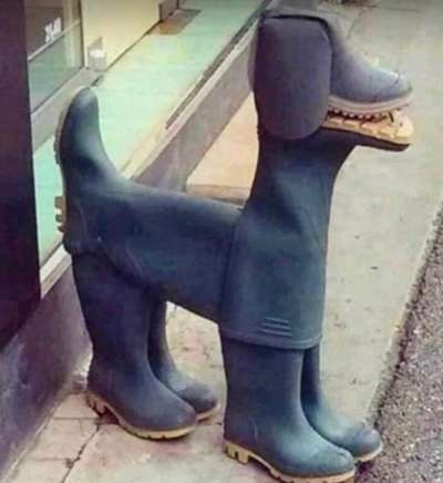 Hier ist der Spaßthread. Zum Schmunzeln und Kaputtlachen-Beitrag-Bild