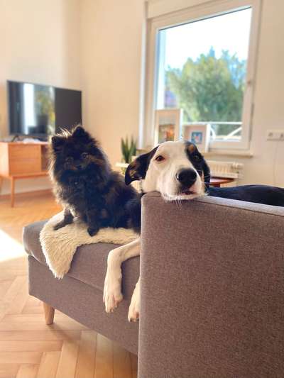 Groß oder Klein?-Beitrag-Bild