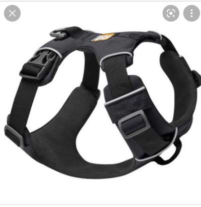 Hundegeschirr-Beitrag-Bild