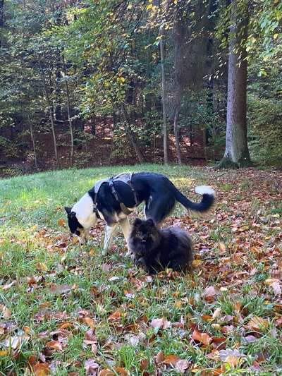 Groß oder Klein?-Beitrag-Bild