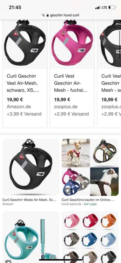 Geschirr und Leinen Drama-Beitrag-Bild