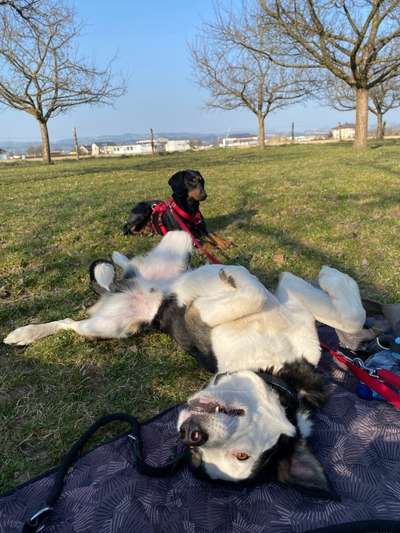 Foto Challange Nr.80-Beitrag-Bild