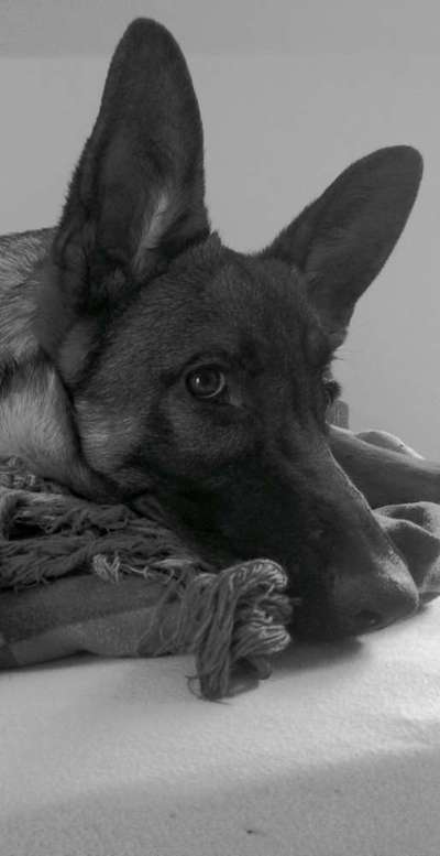 Foto-Challenge 76: Foto in Schwarz-Weiss-Beitrag-Bild