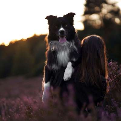 Hundetreffen-Spaziergang ohne Kontakt-Profilbild