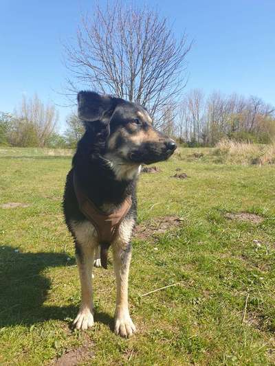 Fotowettbewerb Natur-Beitrag-Bild