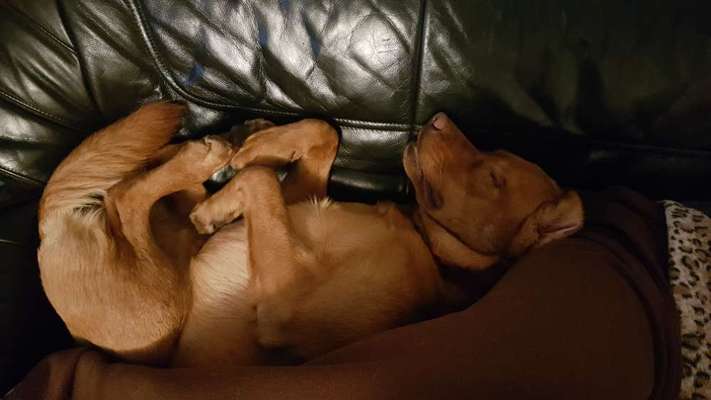 Die unbequemsten und lustigsten Schlafpositionen-Beitrag-Bild