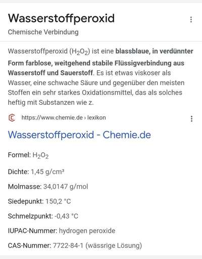 Hundefell desinfizieren-Beitrag-Bild