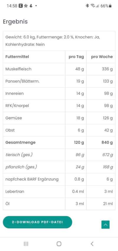 Chihuahua Barfen-Beitrag-Bild