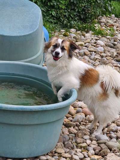 Gewicht-Beitrag-Bild