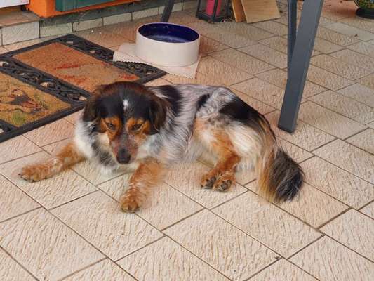 Gewicht-Beitrag-Bild