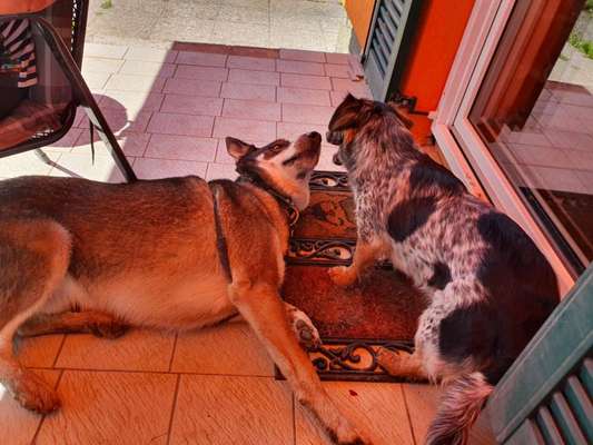 Groß oder Klein?-Beitrag-Bild