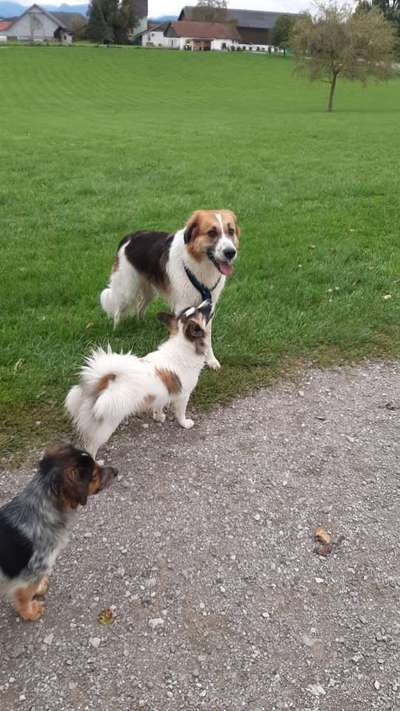 Groß oder Klein?-Beitrag-Bild