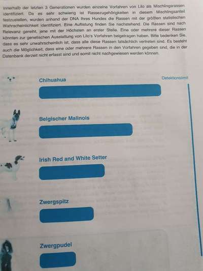 Gen-Test Empfehlungen-Beitrag-Bild