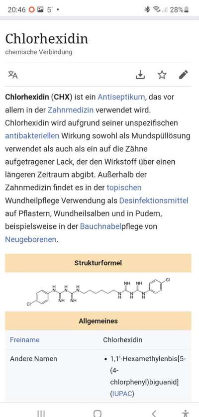 Hundefell desinfizieren-Beitrag-Bild