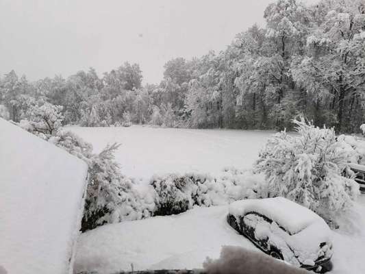 Was hat euch heute gefreut?-Beitrag-Bild