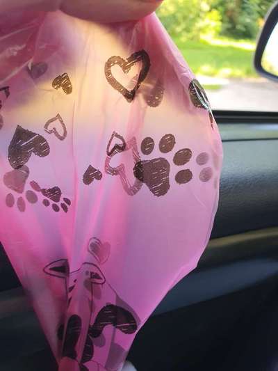 Alternative zu Kotbeuteln aus Plastik, ja/ nein?-Beitrag-Bild