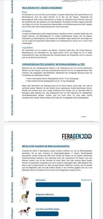 GEN Test-Beitrag-Bild