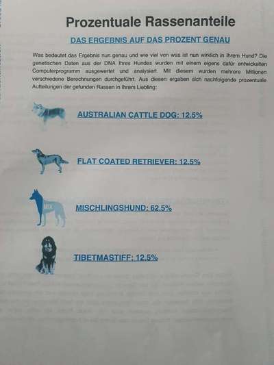 Gen-Test Empfehlungen-Beitrag-Bild