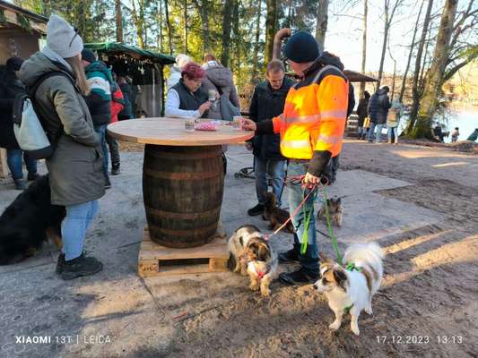 Was hat euch heute gefreut?-Beitrag-Bild