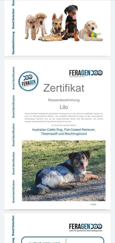 GEN Test-Beitrag-Bild