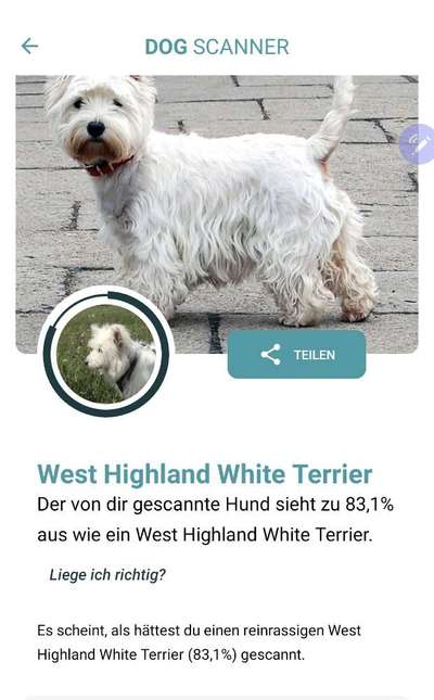 Gen-Test Empfehlungen-Beitrag-Bild