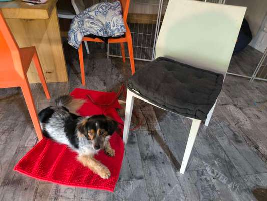 Was hat euch heute gefreut?-Beitrag-Bild