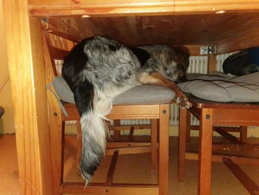 Lustige Grimassen & verrückte Posen-Beitrag-Bild