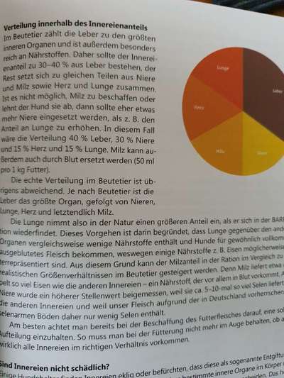 Barfen, wie macht ihr es?-Beitrag-Bild