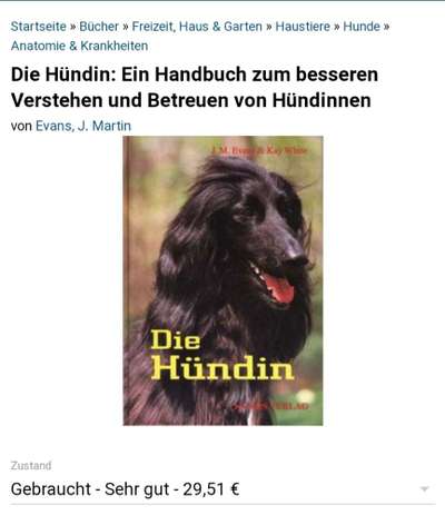 Trächtigkeit-Beitrag-Bild