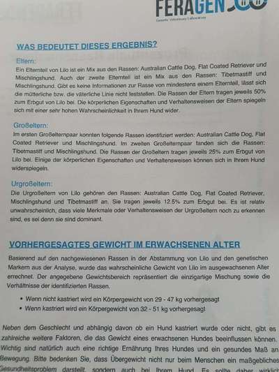 Gen-Test Empfehlungen-Beitrag-Bild