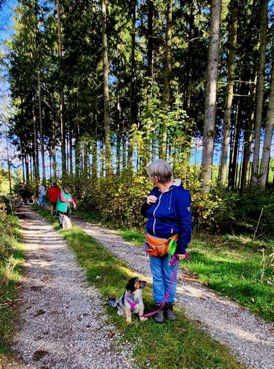 Was hat euch heute gefreut?-Beitrag-Bild