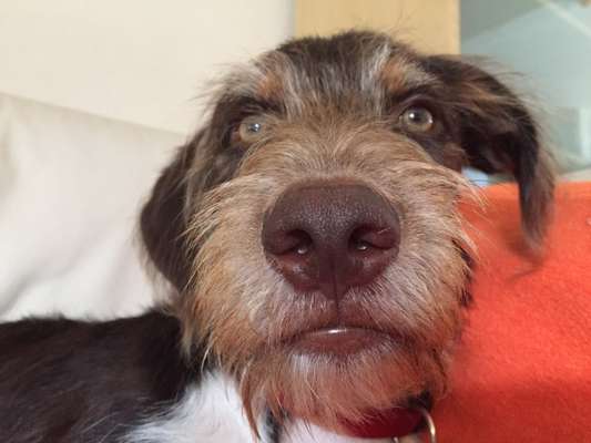 Fotochallange Nr. 57     PORTRÄT.   Beendet!!!!!!!!-Beitrag-Bild