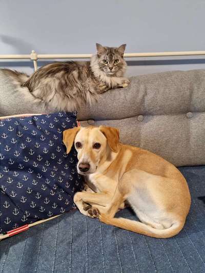 Lieblingsbild-Beitrag-Bild