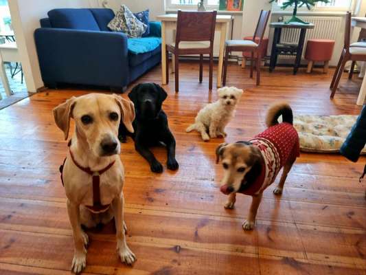 Fotochallenge 69-Beitrag-Bild