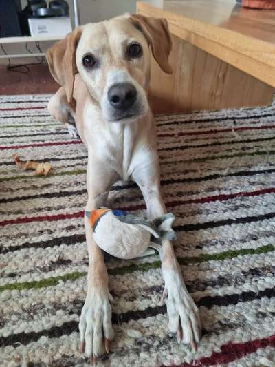 Doppelgänger gesucht !-Beitrag-Bild