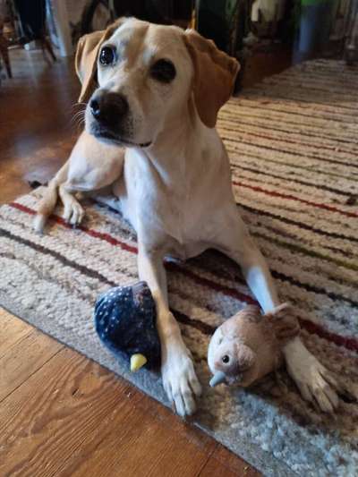 Doppelgänger gesucht !-Beitrag-Bild