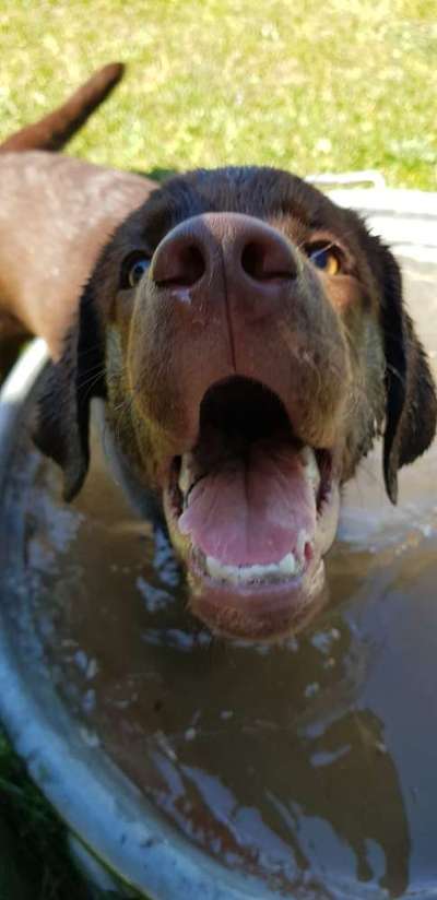 Her mit dem Grimassen-Beitrag-Bild