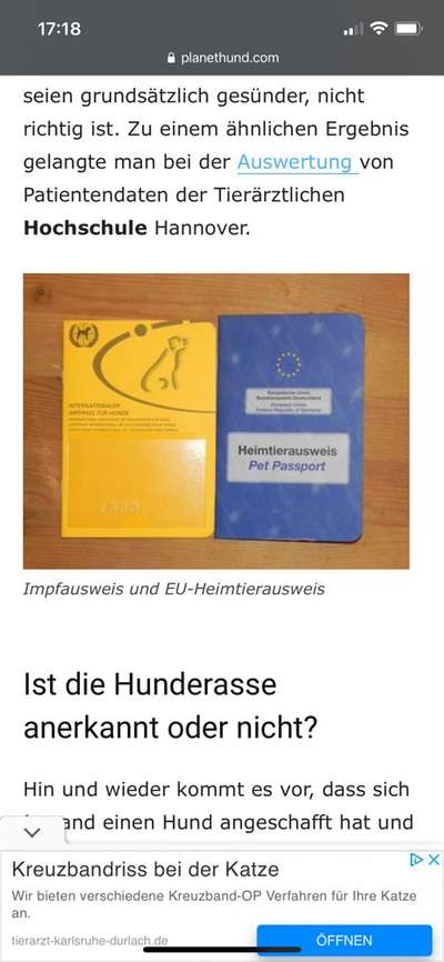 Nachkommen vom eigenen Hund-Beitrag-Bild