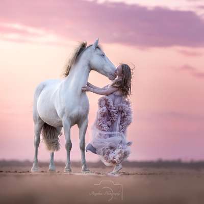 %{de_profession_title}-Du und dein Pferd-Bild