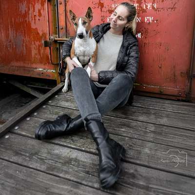 %{de_profession_title}-Du und dein Hund-Bild