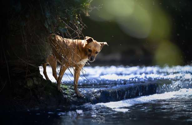 %{de_profession_title}-Wasserspaß-Bild