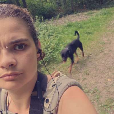 Hundetreffen-Suchen Spielpartner