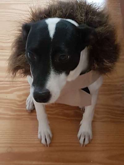 Lieblingsbild :D-Beitrag-Bild