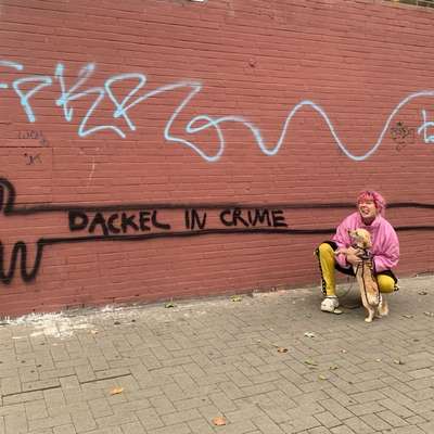 Hundetreffen-Hundefriend gesucht-Bild